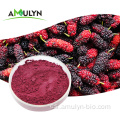 Polvo MulBerry púrpura liofilizado de extracto de fruta